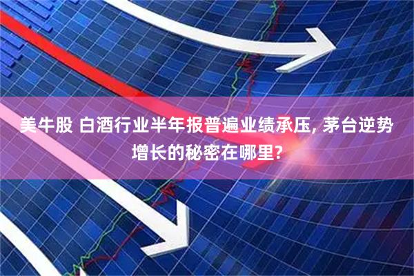 美牛股 白酒行业半年报普遍业绩承压, 茅台逆势增长的秘密在哪里?