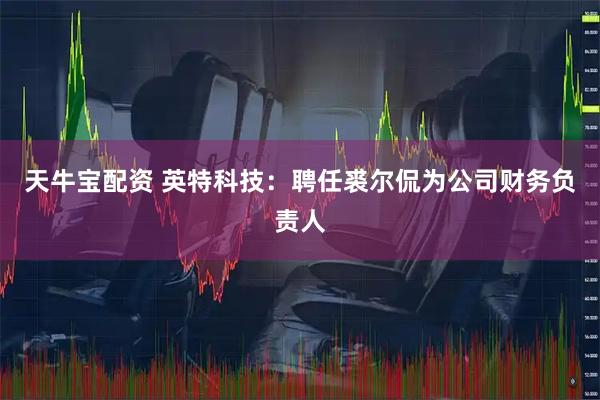 天牛宝配资 英特科技：聘任裘尔侃为公司财务负责人