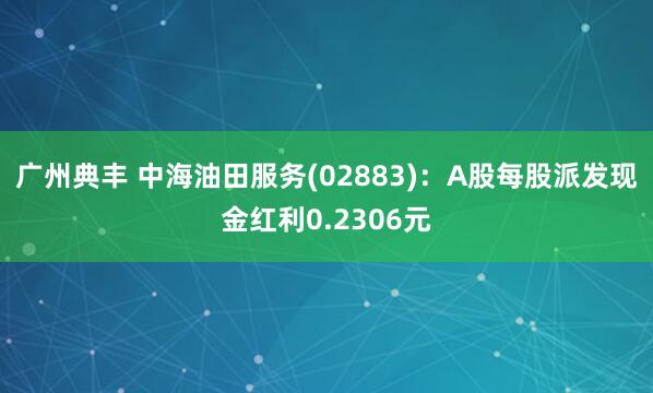广州典丰 中海油田服务(02883)：A股每股派发现金红利0.2306元