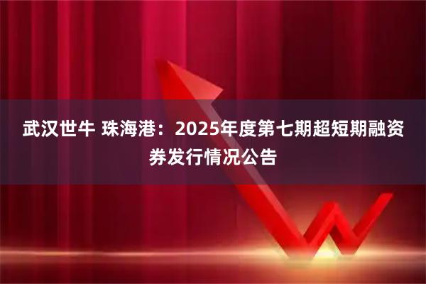武汉世牛 珠海港：2025年度第七期超短期融资券发行情况公告