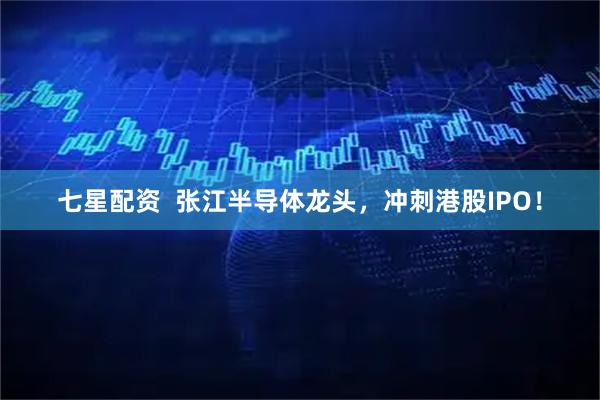七星配资  张江半导体龙头，冲刺港股IPO！